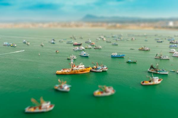 Photograph Juan Carlos Paredes Miniature Manta on One Eyeland